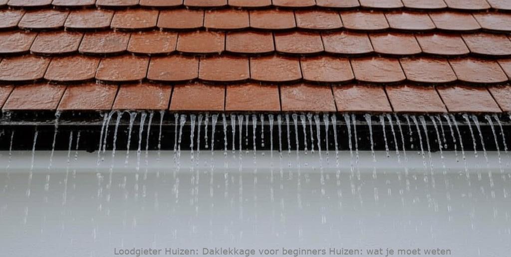 Daklekkage Voor Beginners Huizen