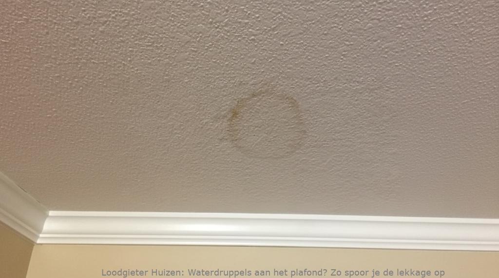 Lekkage Plafond Huizen
